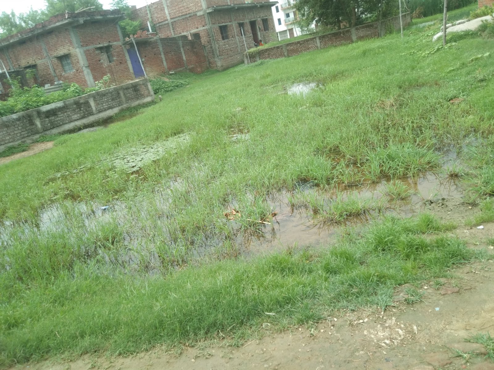 Near police line 4 disimil